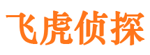 景宁市侦探公司